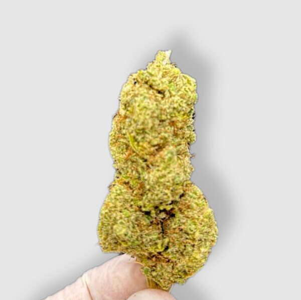 orange bud